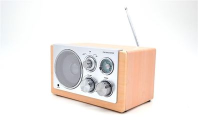 NABO WR 100 Holzradio FM AM