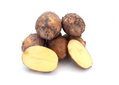 Kartoffeln Finka halbmehlige deutsche Speisekartoffel 2025 vorwiegend festkochend