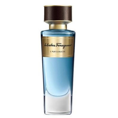 Salvatore Ferragamo E Pur Si Muove Eau de Parfum, 100 ml - Edle Duftnote fuer Ans