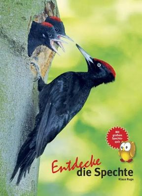 Entdecke den Specht | Klaus Ruge | Buch | Entdecke - Die Reihe mit der Eule