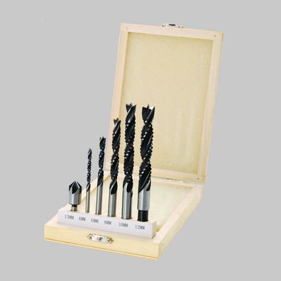 BGS Fräser Satz Fräswerkzeug Bohrfräser Fräsbohrer Holz Bohrer Set Holzfräser
