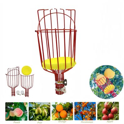 Cueille-fruits en métal rouge - Tête de cueillette, manche sans manche