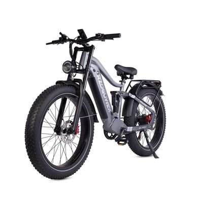 1000W E-Mountainbike für Erwachsene mit Gepäckträger 20 Offroad-Reifen Elektrofahrrad