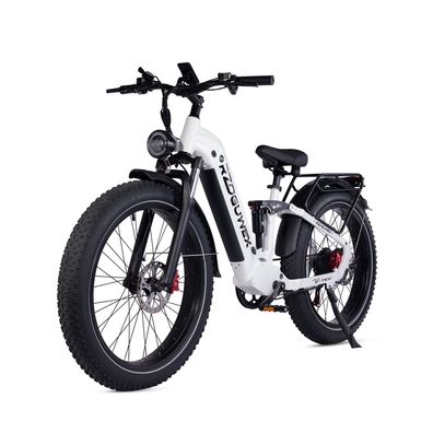 Tiefeinsteiger E-Mountainbike für Damen 1000W Off-road Electric Bike mit Gepäckträger