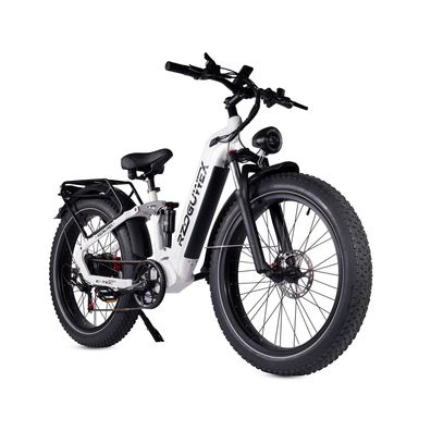 Tiefeinsteiger E-Mountainbike für Damen 1000W Off-road Electric Bike mit Gepäckträger