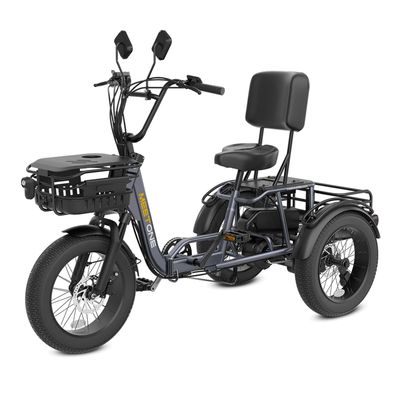 E-Dreirad Lastenrad Elektrofahrräder Cargo E-Bike mit fetten Reifen 48V 20Ah Akku
