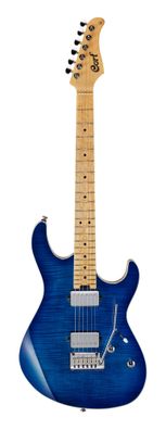 Cort G290 FAT Bundle
