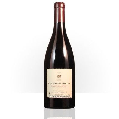 Bouvet-Ladubay 2017 Saumur Champigny Les Nonpareils 10AOC 0.75 Liter