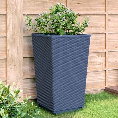 Pflanzkübel-Set in Rattan-Optik – 4-teilig für Kletterpflanzen und Gemüse