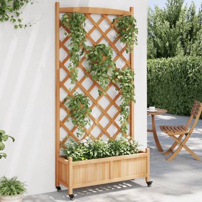 TOP Pflanzkübel mit Rankgitter | Blumenkübel | Rollbar | Rankhilfe | Tannenholz