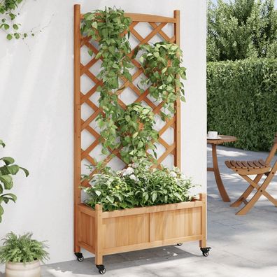 Blumenkübel | Pflanzkübel mit Rankgitter | Rollbar | Rankhilfe | Tannenholz