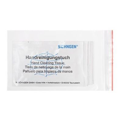 Handreinigungstücher (10 Stk.)