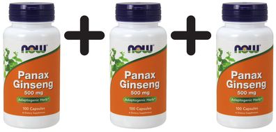 3 x NOW Foods Panax Ginseng, 500mg - 100 capsules