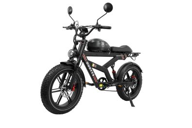 Off-road Dual Motors Elektrofahrrad 65Nm*2 48V 20AH Samsung Battery Elektromotorrad