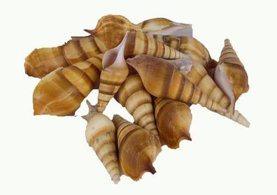 Brown Elutahni natur 500 gr