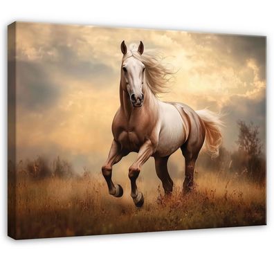 Leinwandbild Pferd Tier Wandbild Leinwand Bilder Wanddeko Wohnzimmer Schlafzimmer