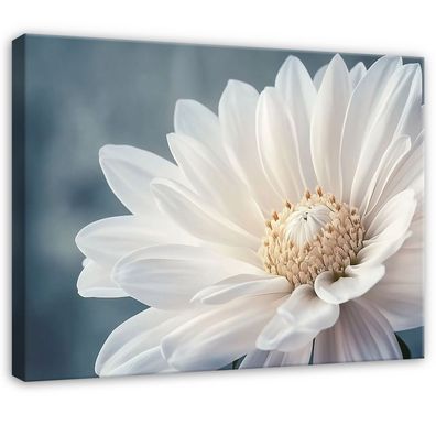 Leinwandbild Blume Weiß Wandbild Leinwand Bilder Wanddeko Wohnzimmer Schlafzimmer