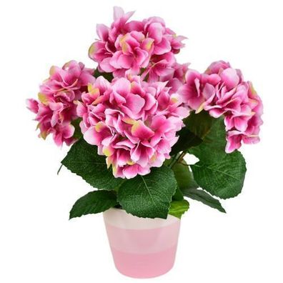 Hortensie rosa 5 Blumen im Keramiktopf 40x30 cm