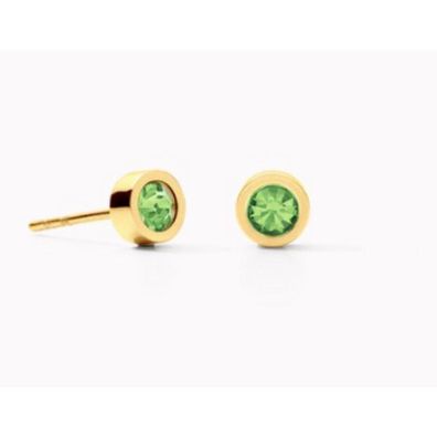 Ohrstecker - Edelstahl Gold - Dot Lindgrün