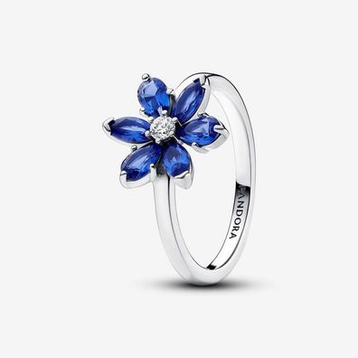 Ring 56 - Sterlingsilber - Herbarium Blaue Steine