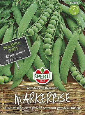 Sperli Markerbse Wunder von Kelvedon, robust & hoher Ertrag