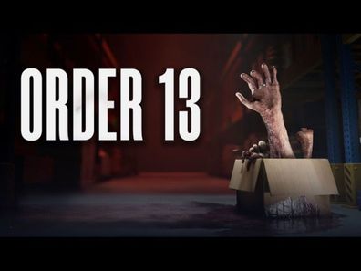 Order 13 (PC, 2025, Nur der Steam Key Download Code) Keine DVD, Keine CD