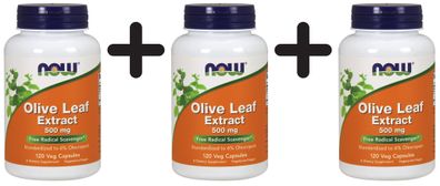 3 x NOW Foods Olive Leaf Extract, 500mg - 120 vcaps