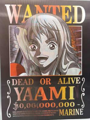 3D-Bild/Effekt-Flip-One Piece-Wanted-Nami-Tolle Farben-30x40cm-ohne Rahmen