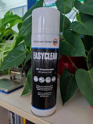IBS-Schaumreiniger Easyclean