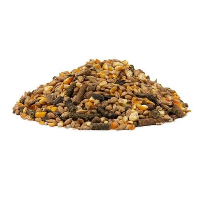 Goldpferd Powermüsli P13