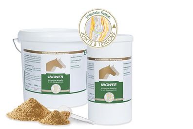 Vetripharm Monopräparat INGWER 800g Ergänzungsfuttermittel für Pferde