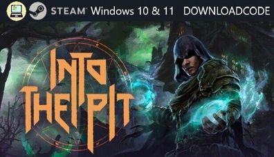 NEU PC Computer Spiel Into the Pit für Windows 10 11 STEAM Download Code Game