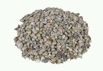 Muschel Mix Unbonium 250 gr