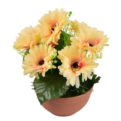 Gerbera hellorange 7 Blumen in Terrakotta-Schale Ø22/ 24 cm