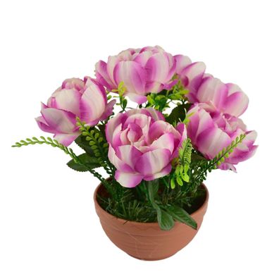 Pfingstrosen lila 6 Blumen in Terrakotta-Schale Ø26/26 cm