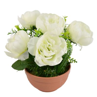Weiße Pfingstrosen 6 Blumen in Terrakotta-Schale Ø26/26 cm