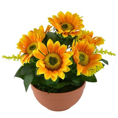 Sonnenblume 7 Blumen in Terrakotta-Schale Ø24/26 cm