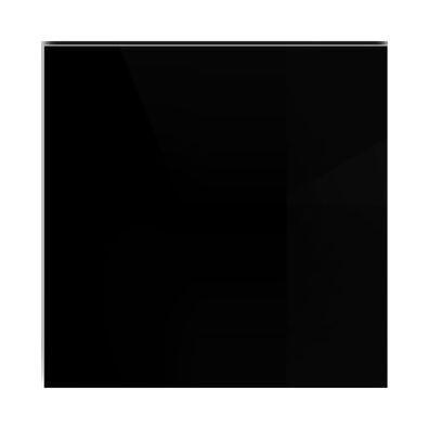 Glasplatte TERRY 50x50cm schwarz 8mm Gehärtetes Glas Scheibe Bodenplatte Glasscheibe
