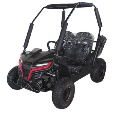 Kinderbuggy 163cc Offroad Automatik Benzin Buggy Cheetah Mini 1G6
