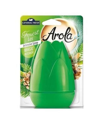 General Fresh Luftreiniger Tannenzapfenform Wald, 40 ml