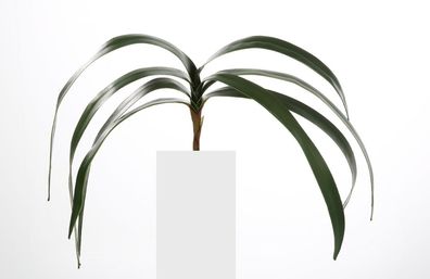 Fink Orchideenblätter, Kunstblume, Kunstfasern, dunkelgrün, L. 71 cm, H. 1 cm