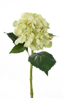 Fink Hortensie, Kunstblume, Kunstfasern, hellgrün, L. 48 cm, B. 26 cm, H. 48 cm