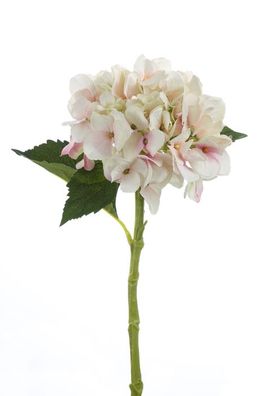 Fink Hortensie, Kunstblume, Kunstfasern, creme, hell-pink, L. 48 cm Tiefe: 48.00cm