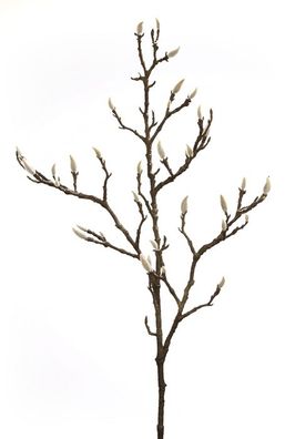 Fink Magnolienknospenzweig, Kunstblume, Kunstfasern, dunkelbraun, L. 101.5 cm 183179
