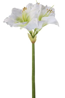 Fink Amaryllis, Kunstblume, Kunstfasern, weiß, L. 49 cm, B. 15 cm, H. 1 cm 183273
