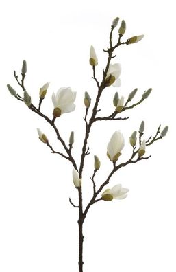 Fink Magnolienzweig, Kunstblume, Kunstfasern, weiß, L. 101 cm, B. 5 cm, H. 5 cm