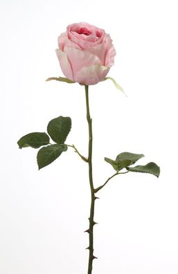Fink ROSE, Kunstblume, Kunstfasern, rose, H. 60 cm Höhe: 60.00 cm 180067