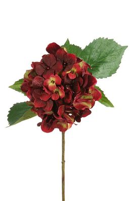 Fink Hortensie, Kunstblume, Kunstfasern, grün, aubergine, L. 66 cm Tiefe: 66.00cm