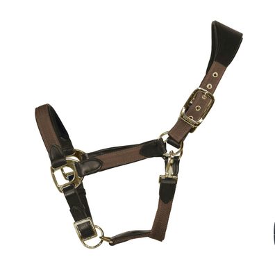 EQuest Halfter Unique für Pferde - Messing Finish, Mocha - M Vollblut