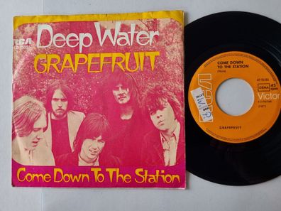 Grapefruit - Deep Water 7'' Vinyl Germany